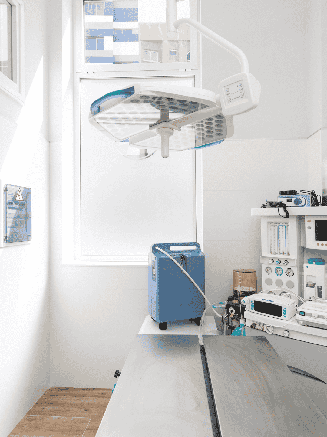 Veterinary Clinic Interior
